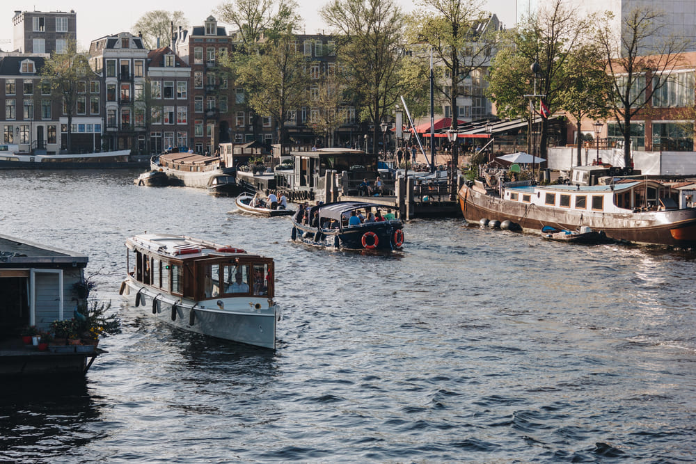 Getting Used to Life in Amsterdam