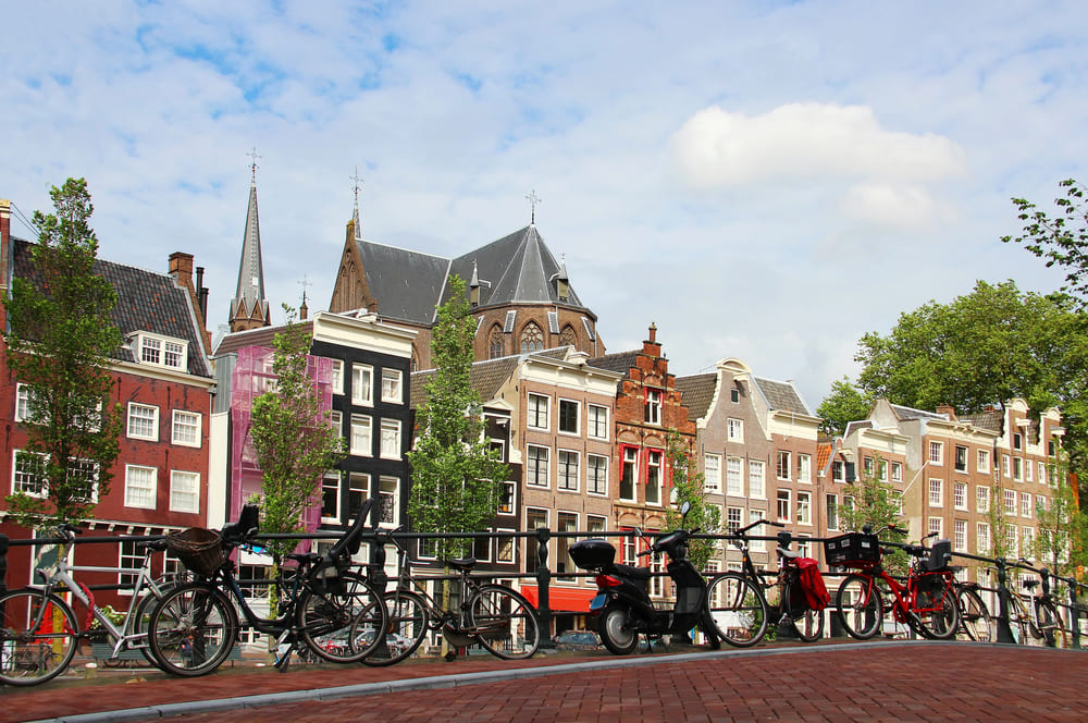 Work, Routine, and Feeling Settled in the Netherlands