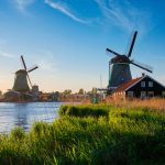 The Job Offer That Changed My Life in the Netherlands