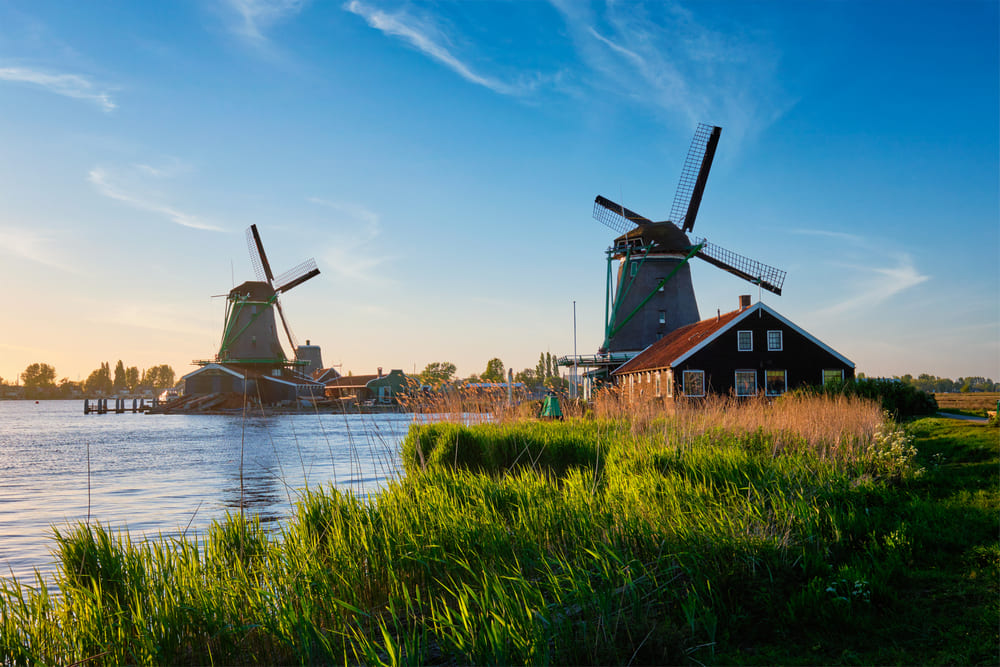 The Job Offer That Changed My Life in the Netherlands